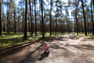 Obraz premium Wiktoria's walk through the Roztocze forest- Poland.