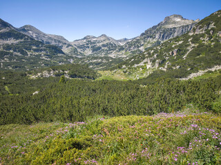 Naklejka premium Landscape of Pirin Mountain near Banski Lakes, Bulgaria