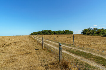 A long, empty road with a fence on the side. The sky is blue and the grass is dry