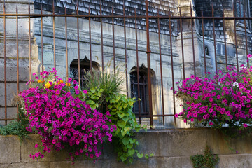 A fence with a view of a building and two flower pots filled with purple flowers. The flowers are arranged in a way that creates a sense of tranquility and calmness. The fence itself is made of iron