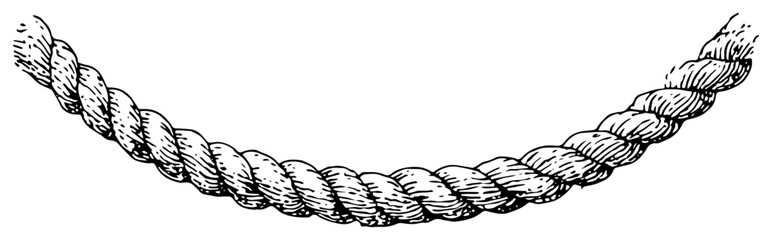 Detailed hand drawn vector illustration of a twisted rope hanging in a curve © Kaz