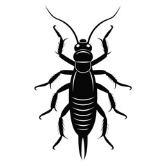 Earwig Black Silhouette Vector – Clean White Background Design