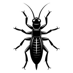 Earwig Black Silhouette Vector – Clean White Background Design