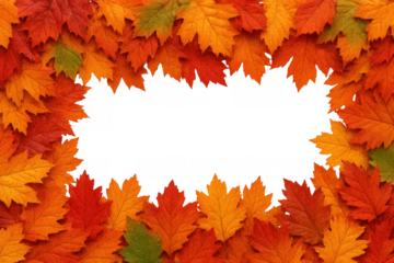 Autumn maple leaves forming a vibrant decorative frame, creating a seasonal border with transparent background for text