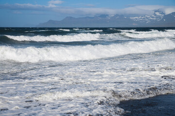 wild sea landscape in iceland in summer