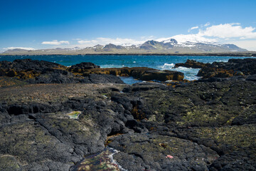 Fototapeta premium beautiful seashore in iceland at a stormy day