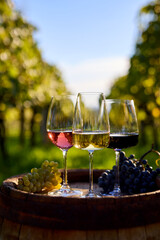 Obraz premium Three glasses of red, white, and rosé wine on an old wooden barrel with grapes in a vineyard