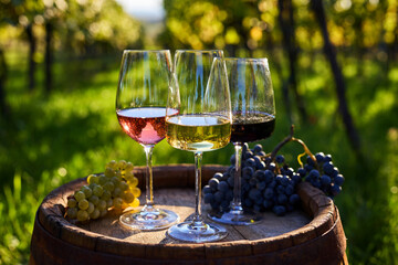 Close up of three glasses of red, white, and rosé wine on an old wooden barrel with grapes in a...