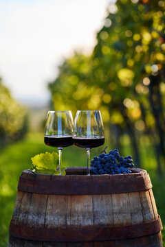 Two glasses of red wine on an old wooden barrel with grapes in a vineyard
