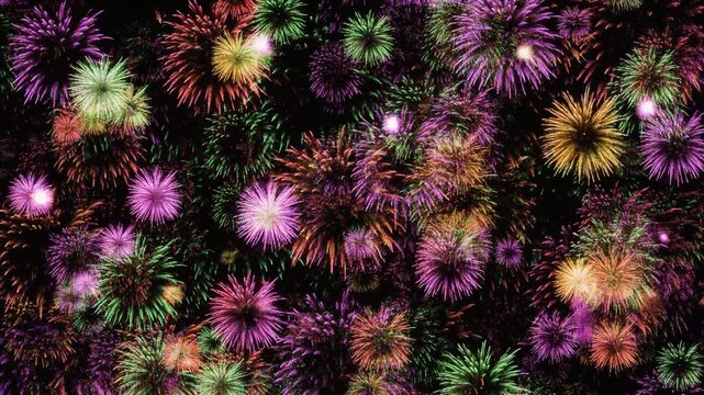  Looping Multicolored Isolated Fireworks Grand Finale