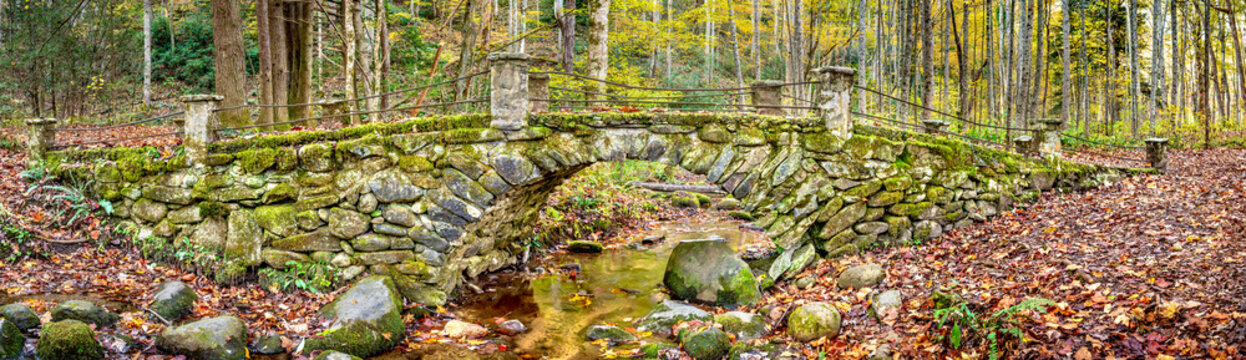 Elkmont Troll bridge in the Smoky Mountains