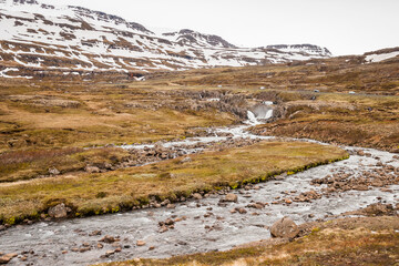 snow coverd landscape in iceland in june