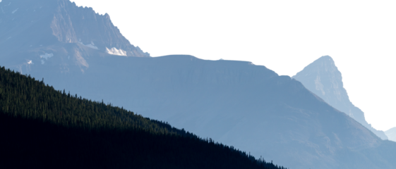 Panorama of a distant thick evergreen forest and light blue mountains with a transparent sky