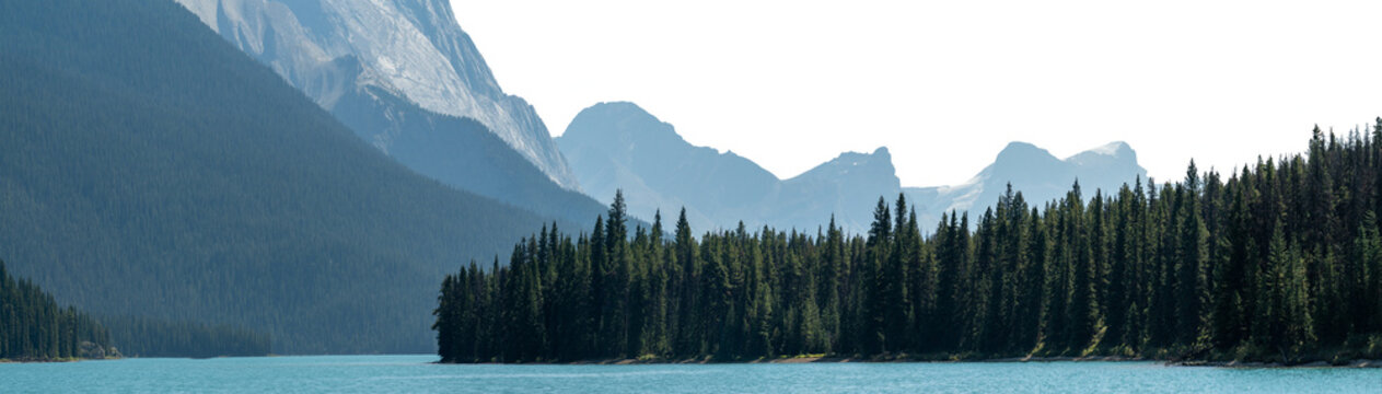 Panorama of a dramatic scene devastated by a forest fire burnt phone booth. Blue sky and distant mountains Jasper Canada