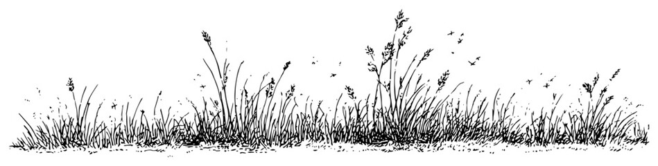 Sketchy hand drawn wild grass field meadow