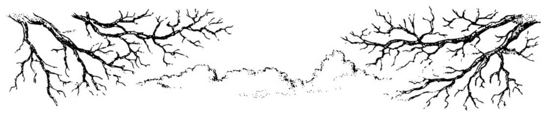 Bare tree branches with clouds hand drawn sketch