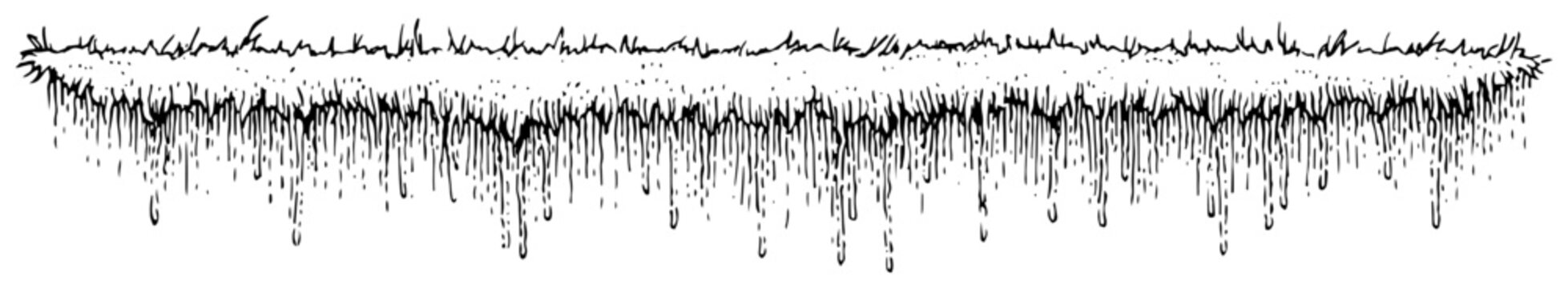 Underground soil cross section with grass and roots