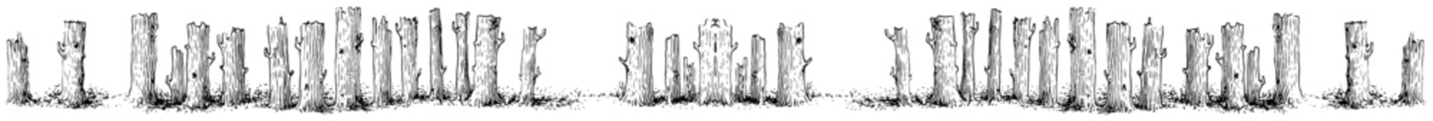 Horizontal row of cut tree stumps and wooden logs sketch illustration © Kaz