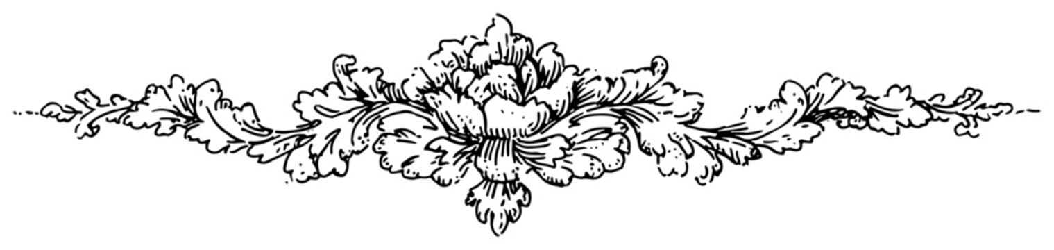 Ornate baroque floral ornament ink line art