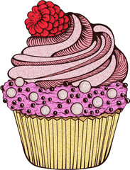 Sparkly Pink Cupcake with Raspberry Topping Festive Birthday Isolated Illustration with Grainy Texture, Pastry Sweet Bakery Drawing