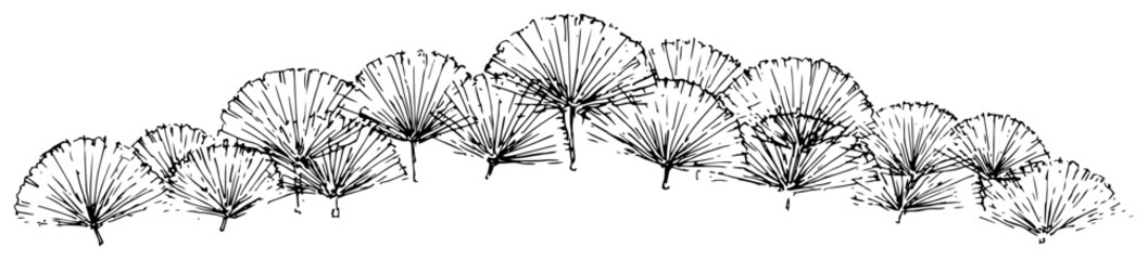 Hand drawn folding fan border line art