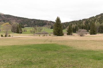 A photo of Ecchen Peat Bog Biotope