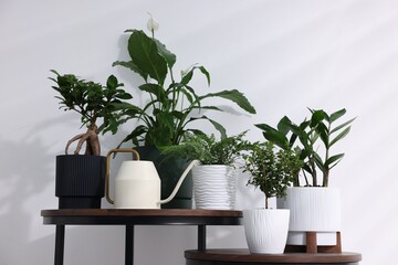 Different green houseplants and watering can on wooden nesting tables near white wall indoors