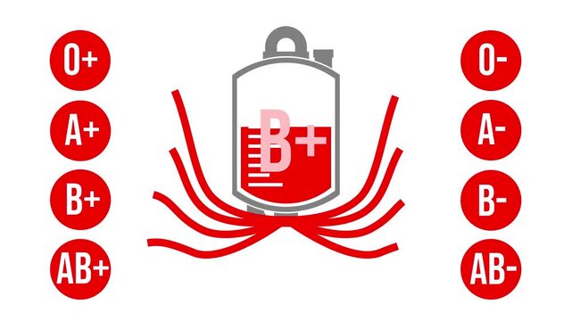 Blood Type B+ Compatibility Flow Animation.