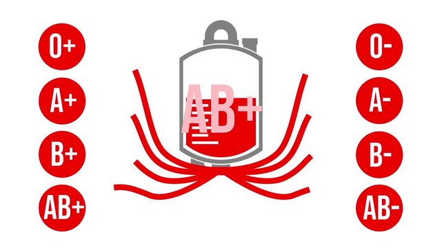 Blood Type AB+ Compatibility Flow Animation.