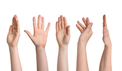 Female hands isolated on white, collection of photos
