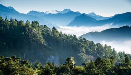 misty mountain range with serene trees in daytime