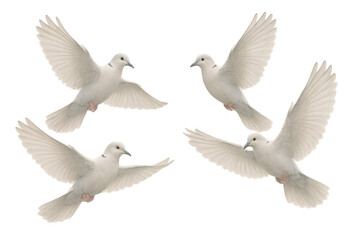 Fototapeta premium White doves flying, representing peace, freedom, spirituality, hope, and new beginnings on a transparent background