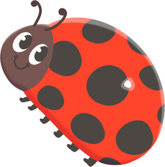 ladybug
