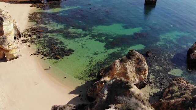High-Angle Aerial View of Camilo Beach Cove with Golden Cliffs and Crystal Clear Green-Blue Ocean Water, Sunny Travel Destination in Lagos, Portuga