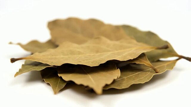 Aromatic Dried Bay Leaf Herb for Seasoning Slowly Rotating Isolated on White Background