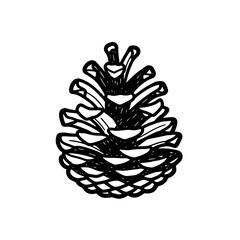 Black and white illustration of a pine cone.