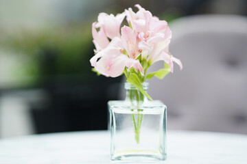 Delicate pink flowers are arranged in a transparent square glass vase on a light surface with a soft background. Suitable for decor, floral design, lifestyle, and relaxation concepts in editorial or