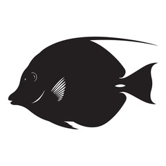 Silhouette of a tropical fish, isolated on a white background