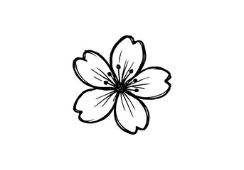 Cherry Blossom hand drawn simple sketch vector illustration