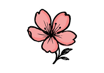 Cherry Blossom hand drawn simple sketch vector illustration