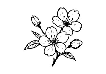 Cherry Blossom hand drawn simple sketch vector illustration