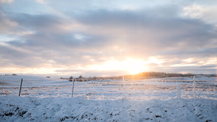 Soft winter sunrise over a snow covered rural landscape with frosty fields, fence posts and cloudy sky. Calm cold morning atmosphere in countryside nature.