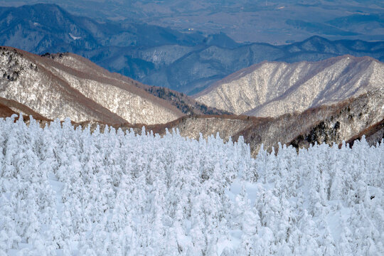 Japanese people are traveling to see snow monsters on Mt. Zao.