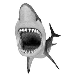 A Shark in black white halftone isolated with transparent background 