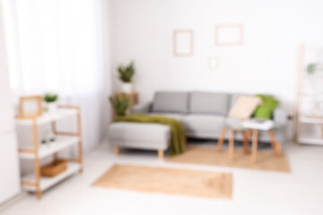 Interior of light living room with comfortable sofa, houseplant, coffee table and shelving unit, blurred view