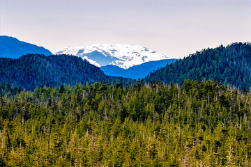 mountain landscape in the morning