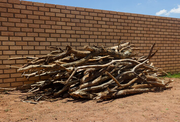 woodpile stack, large pile of assorted ,dry mopane firewood, tree branches and logs, firewood on...