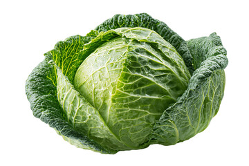 Fototapeta premium Fresh Savoy Cabbage Head Close Up on Transparent Background Studio Shot High Angle View Green Leaves with Intricate Veins and Textured Surface Dew Drops, PNG