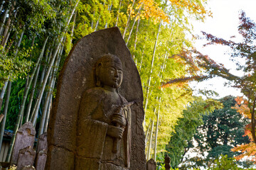 Whispers Beneath the Bamboo