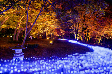 Whispers of the Luminous Grove